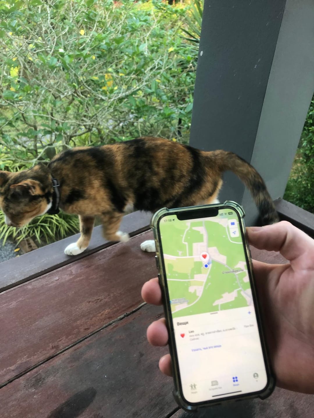 Customer photo review of AirTrackTag Kattpaket