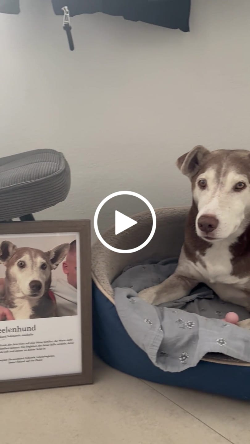 Customer video review of Definition Seelentier - Individuelles Poster