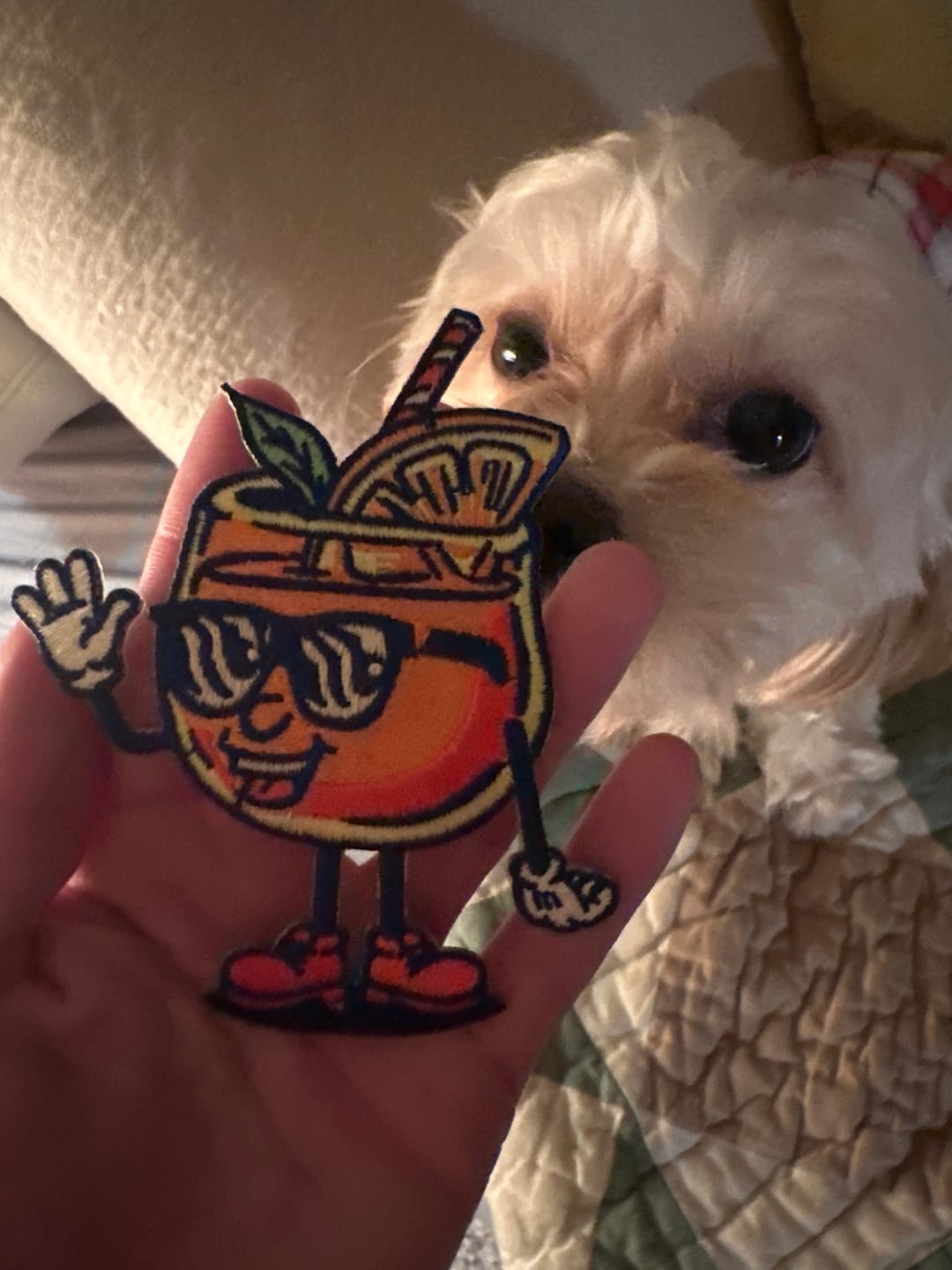 Customer photo review of Aperol Steve – Patch