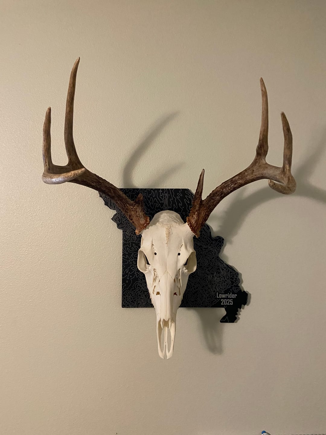 Customer photo review of Medium Game Plaque - Selections