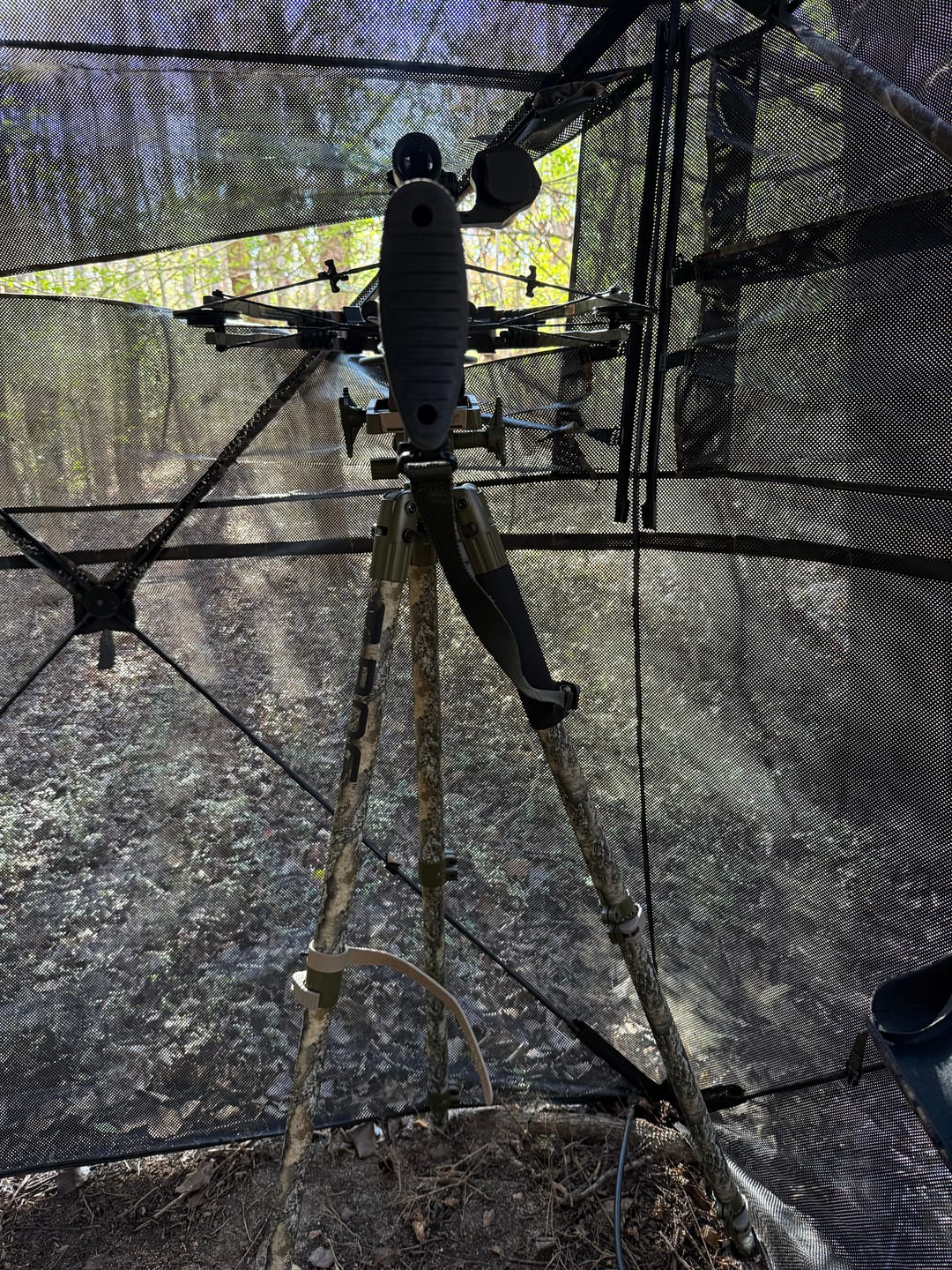 Customer photo review of Tidewe Vis360 See-Through Ground Blind for Deer/ Turkey Hunting (3-4 Person)