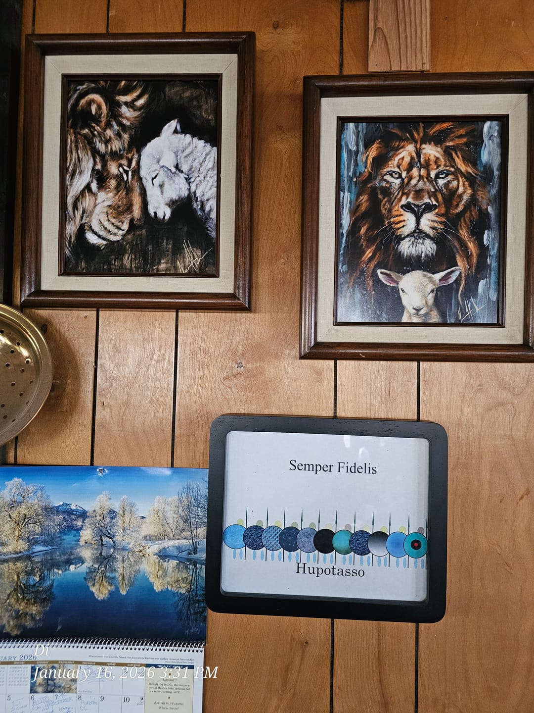 Customer photo review of The Lion and Lamb Passover