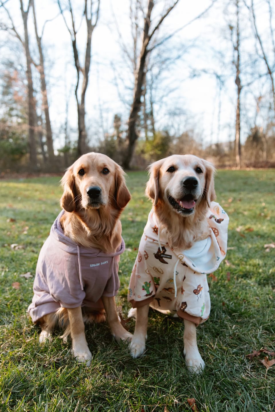 Customer photo review of Rodeo Dog Hoodie