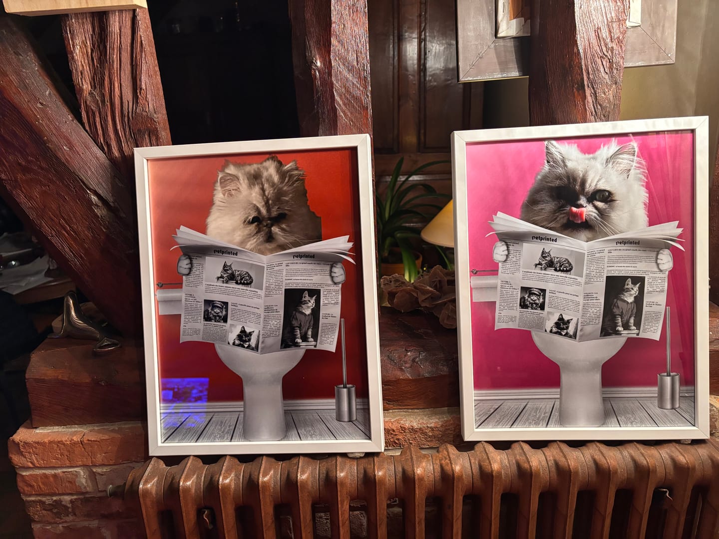 Customer photo review of Dogue - Poster personnalisé