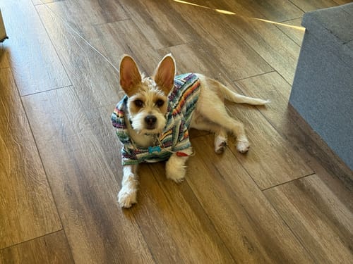 Customer photo review of Playa Poncho – Mystery Color (Bella, Charlie, or Fun Edition)