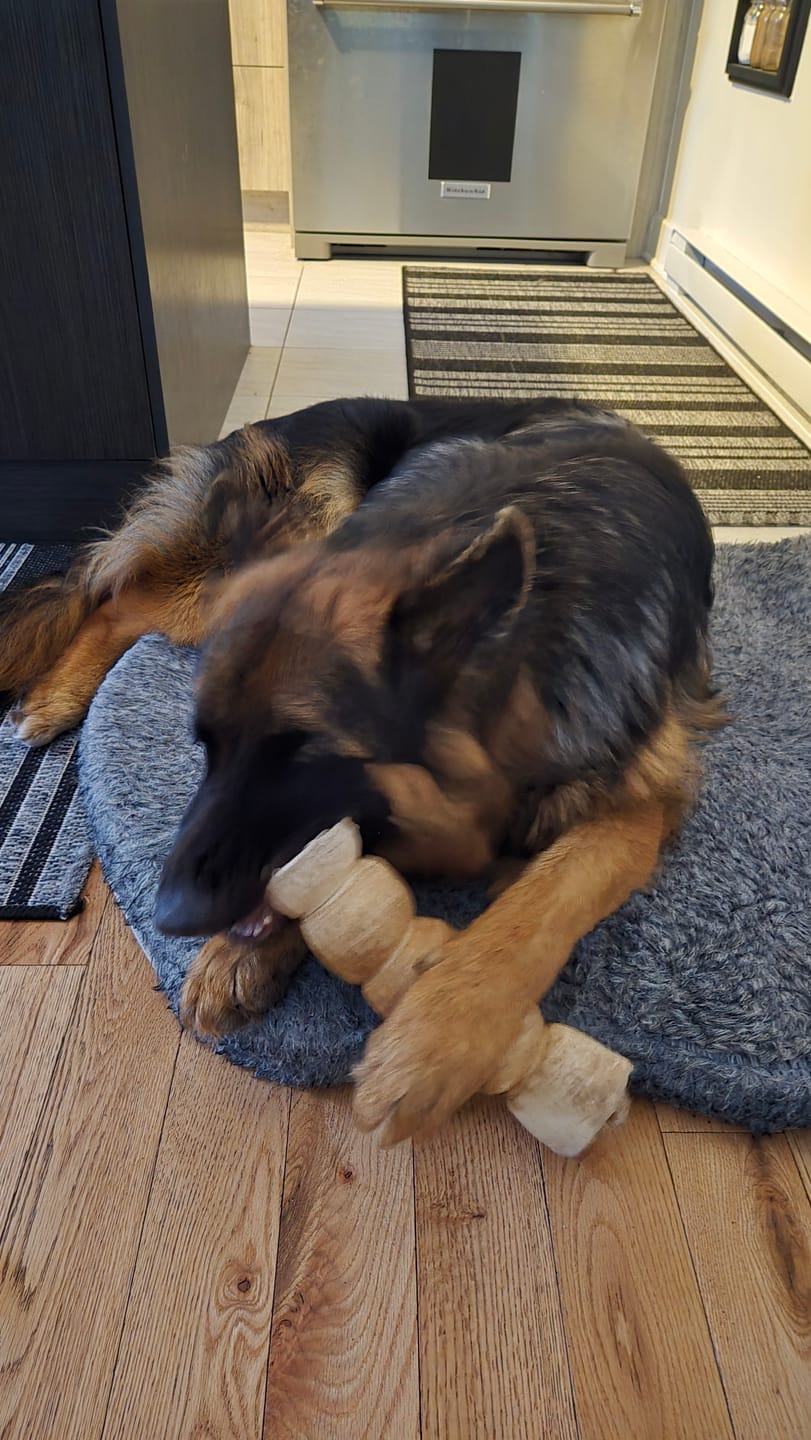 Customer photo review of 10-12 Inch Peanut Butter Cheek Roll
