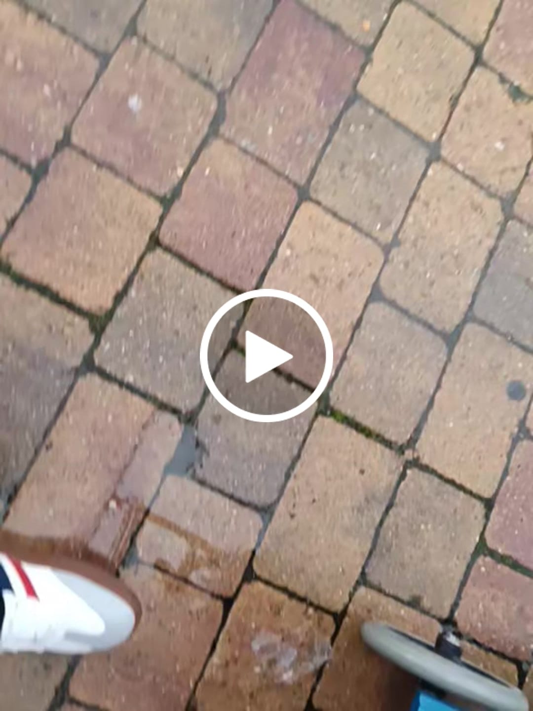 Customer video review of Linden - Zapatos De Punta Ancha