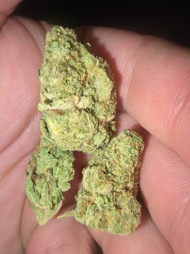 Customer photo review of Key Lime Pie THCA Flower