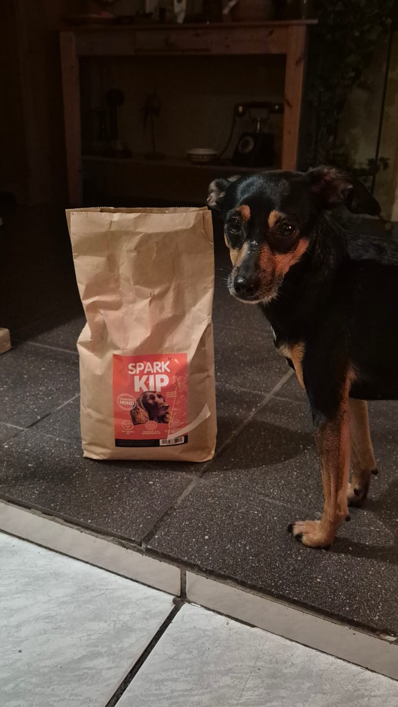 Customer photo review of Volwassen - Kip met Zoete Aardappel & Kruiden