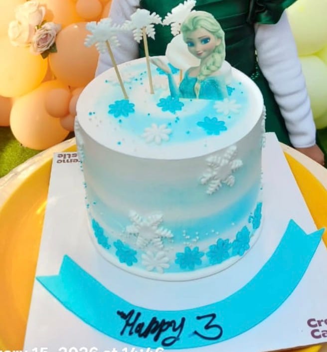 Customer photo review of Frozen Birthday Cake