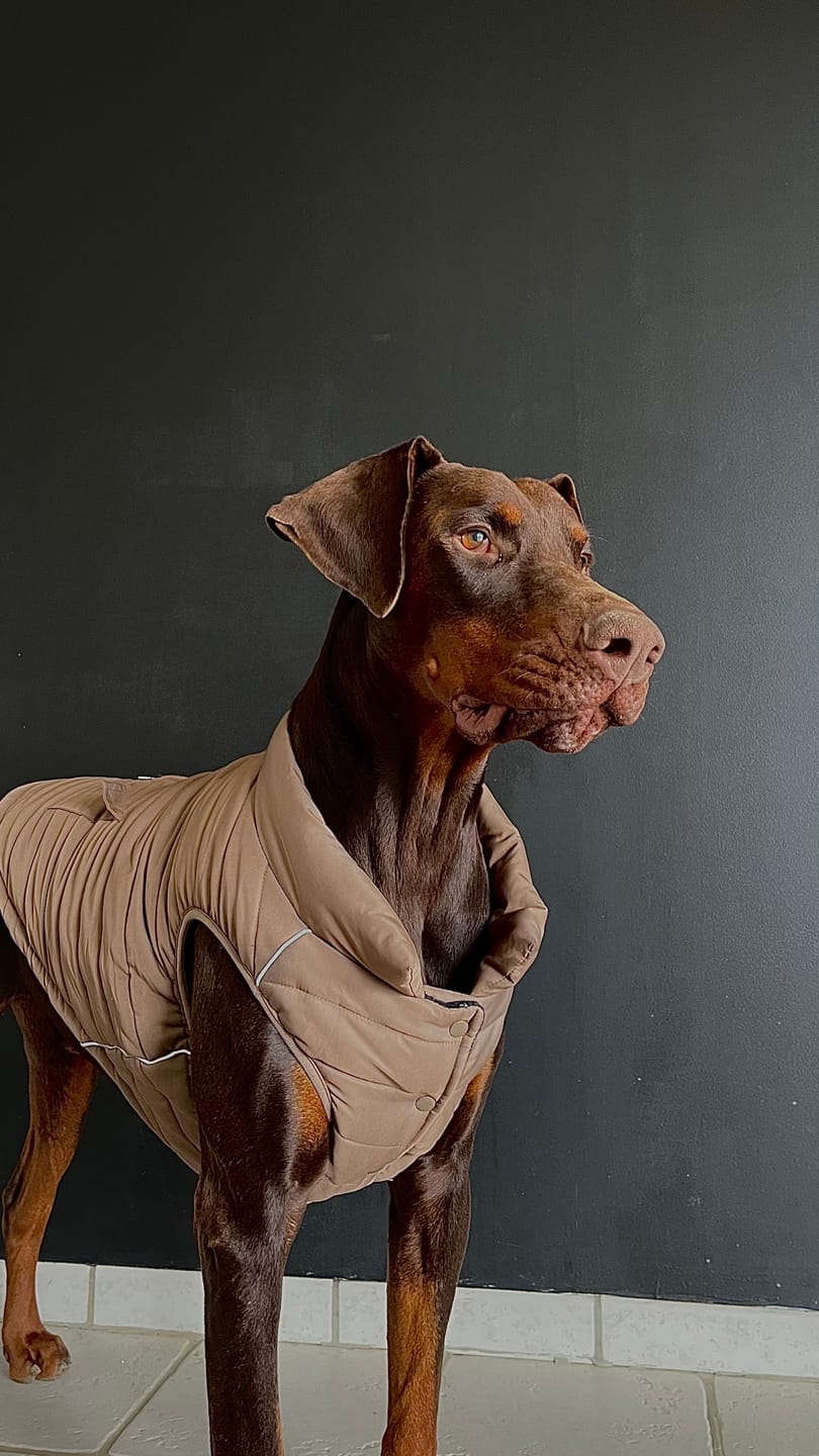 Customer photo review of WarmShield Water-Resistant Jacket - Tan