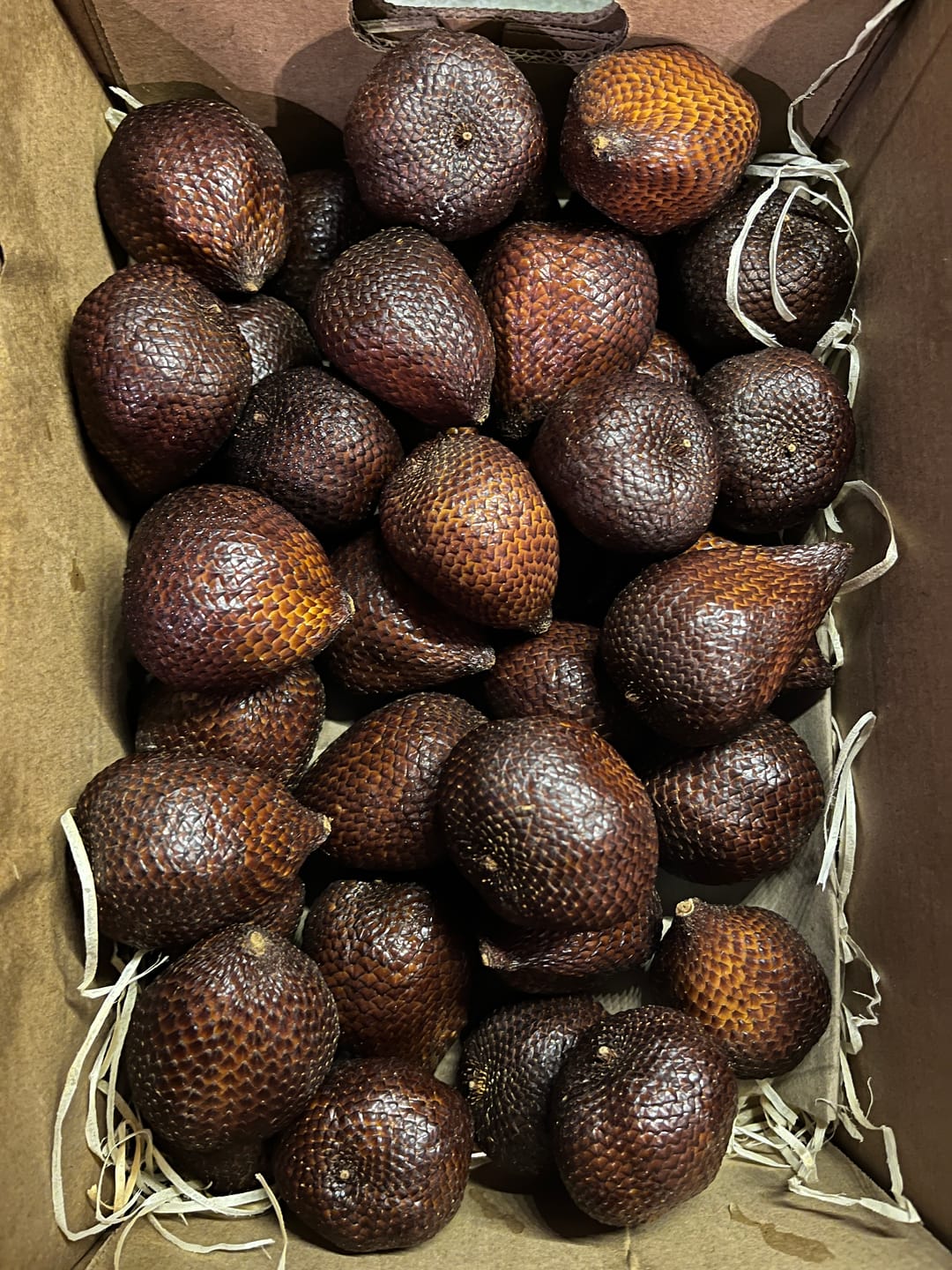 Customer photo review of Salak (Schlangenfrucht) Weihnachtsaktion %