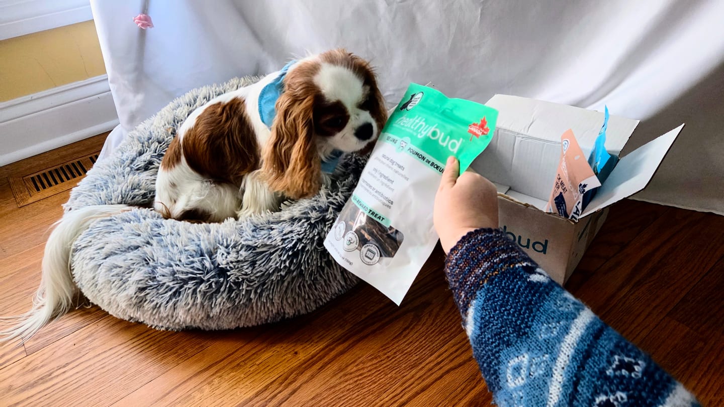 Customer photo review of Beef Lung Wafers