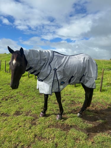 Customer photo review of Weatherbeeta ComFiTec Hexi Shield Combo