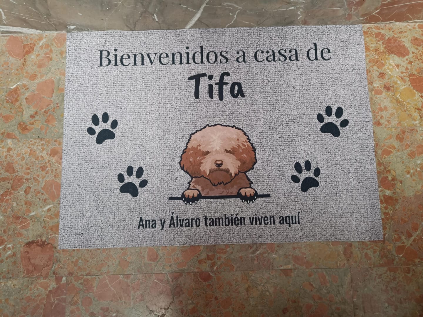 Customer photo review of Bienvenidos a lo de gatos curiosos - Felpudo personalizado
