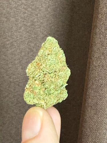 Customer photo review of Blue Skittles - Indica
