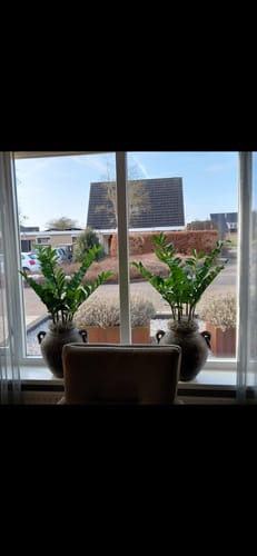 Customer photo review of Zamioculcas Kunstplant 75cm