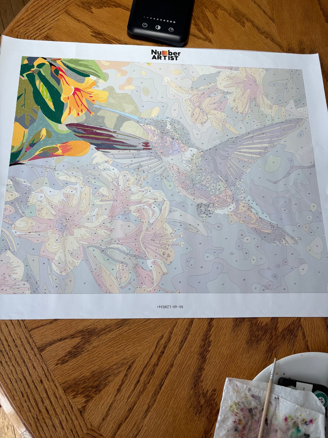Customer photo review of Hummingbirds Dance