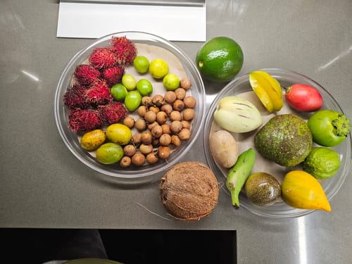 Customer photo review of Tropical Variety Box