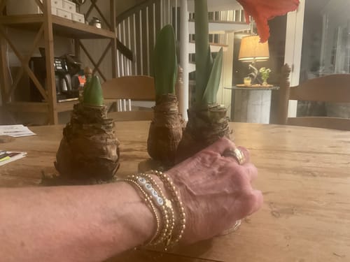 Customer photo review of custom fun juno bracelet (4mm)