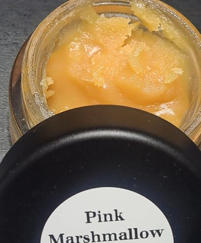 Customer photo review of Pink Marshmallow | THCA Badder