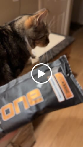 Customer video review of 100mg Caffeine - Classic - SuperCharged Honey (20-Pack)