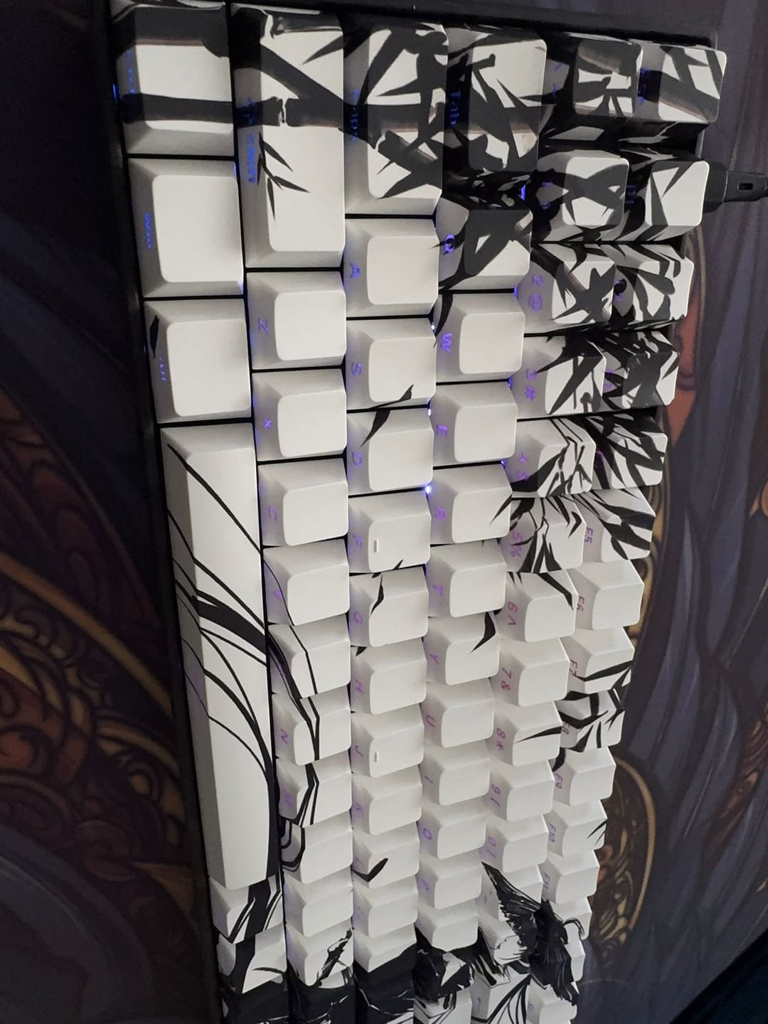 Customer photo review of WLMouse Ying75 CF Klavye (Manyetik Switch / HE)