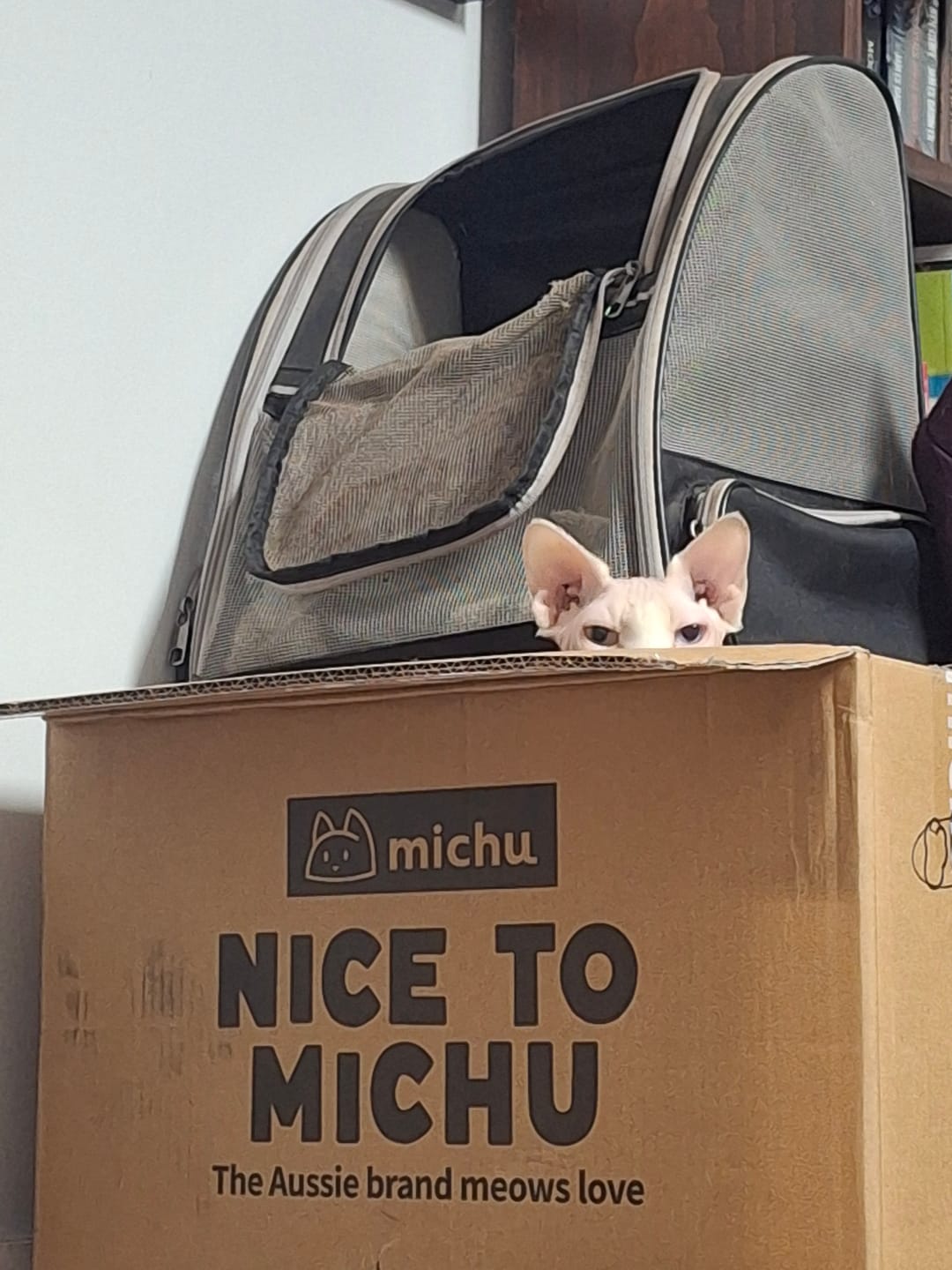Customer photo review of Michu Tofu Cat Litter Gen3 - Natural Clumping Tofu-Based Formula - Value Box 5 kg