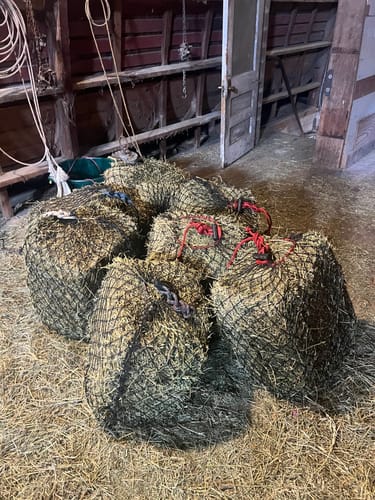 Customer photo review of Hay Chix® 2-Strand Bale Net (Small Bale Net)