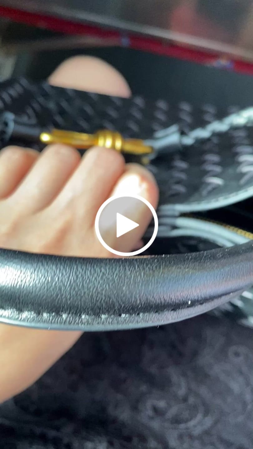 Customer video review of Lucia Woven Bag Small