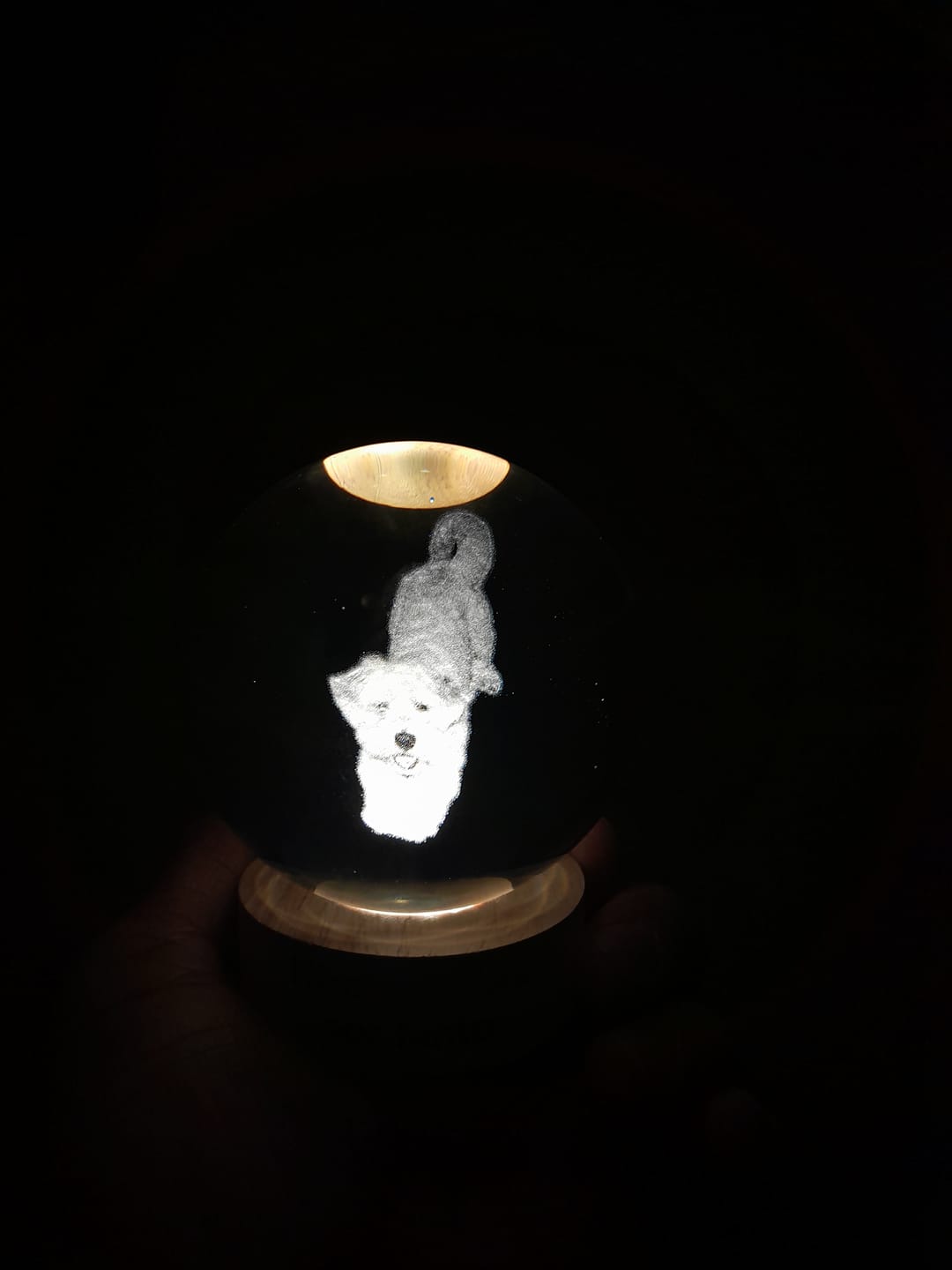 Customer photo review of Esfera de Cristal