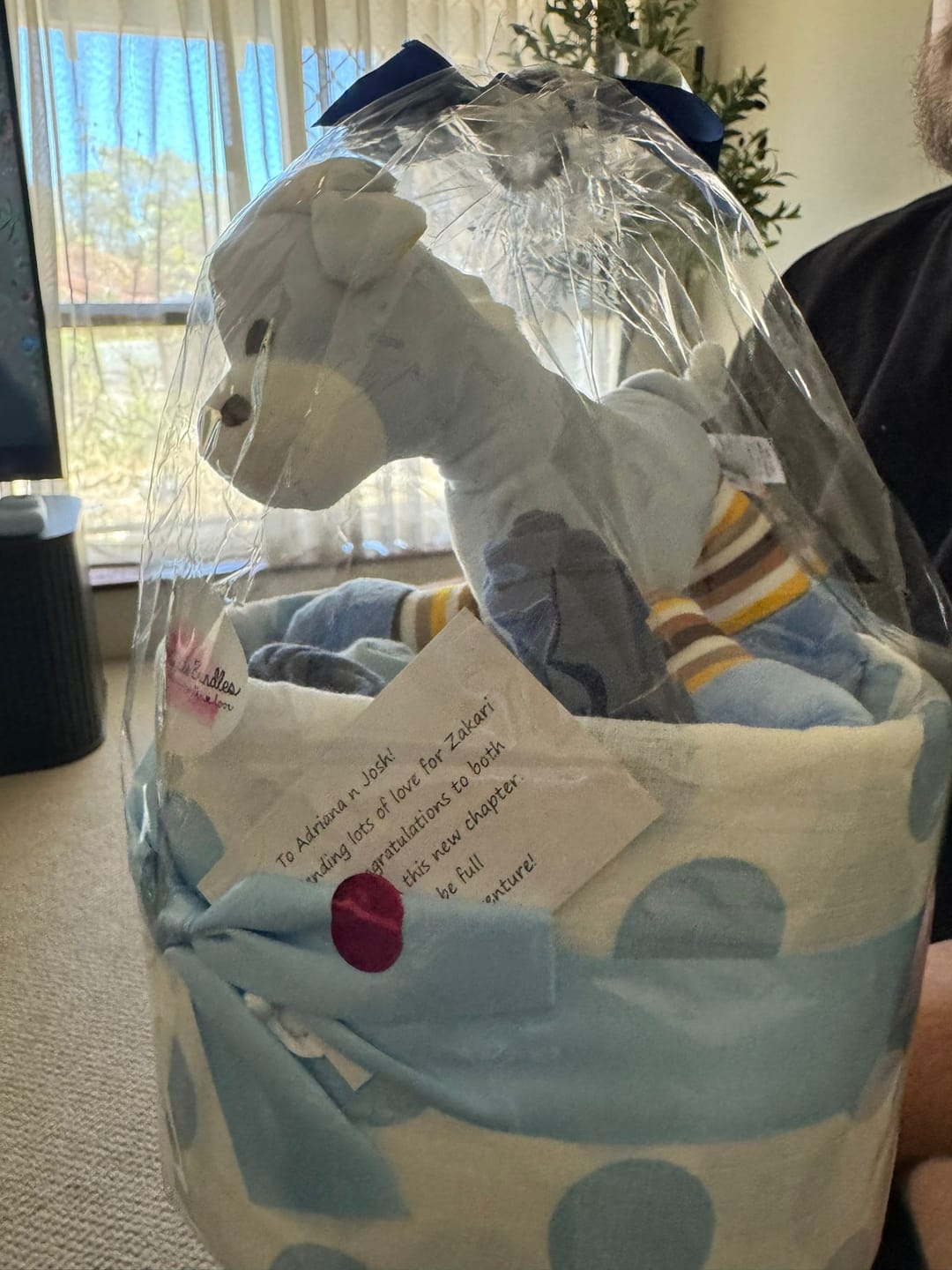 Customer photo review of Gerry Giraffe Boys Nappy Cake