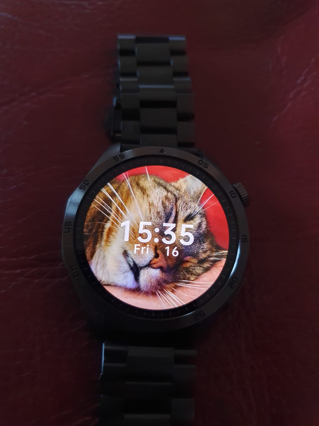 Customer photo review of Alpha Pro