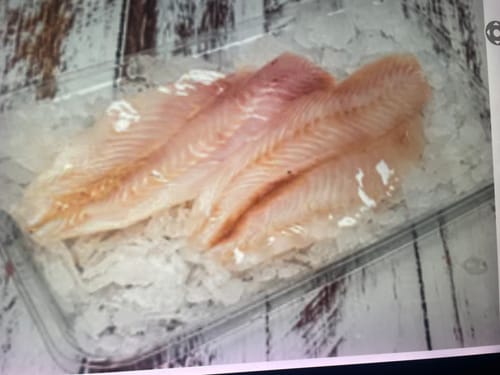 Customer photo review of Fresh Tarakihi Fillets