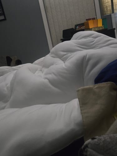 Customer photo review of MarshMellow Comforter