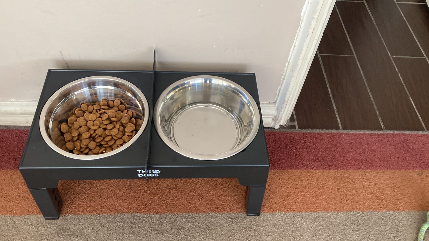 Customer photo review of Comedero Elevado THE DOGS Postura correcta en cada comida