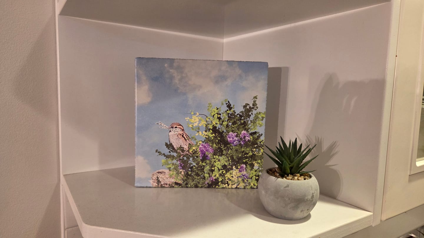 Customer photo review of Art Block - Lost & Found - Nesting