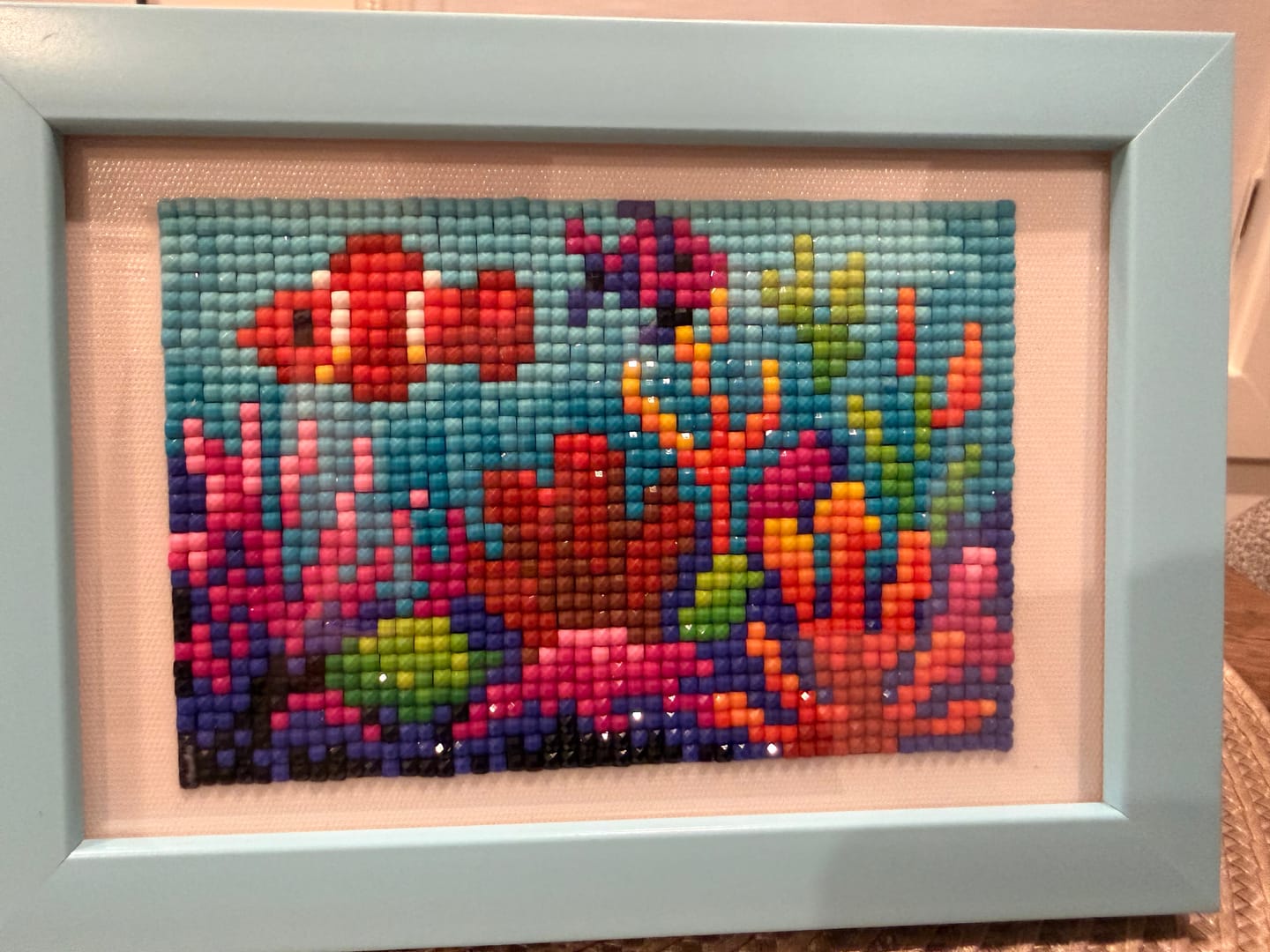 Customer photo review of Australia Set