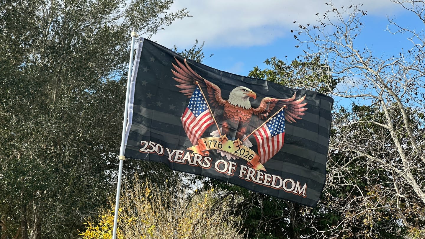 Customer photo review of America’s 250th Anniversary Flag – 3x5 Ft Bald Eagle Patriotic Flag | 1776-2026 “250 Years of Freedom” Banner