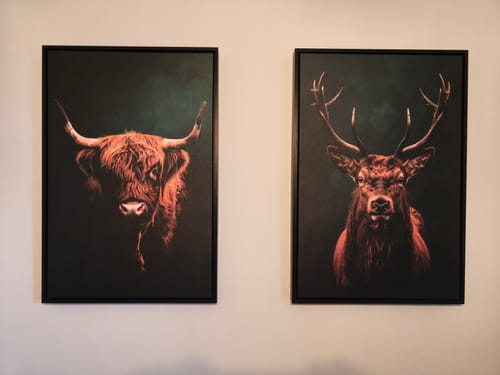 Customer photo review of Highlands Set of 2 Prints