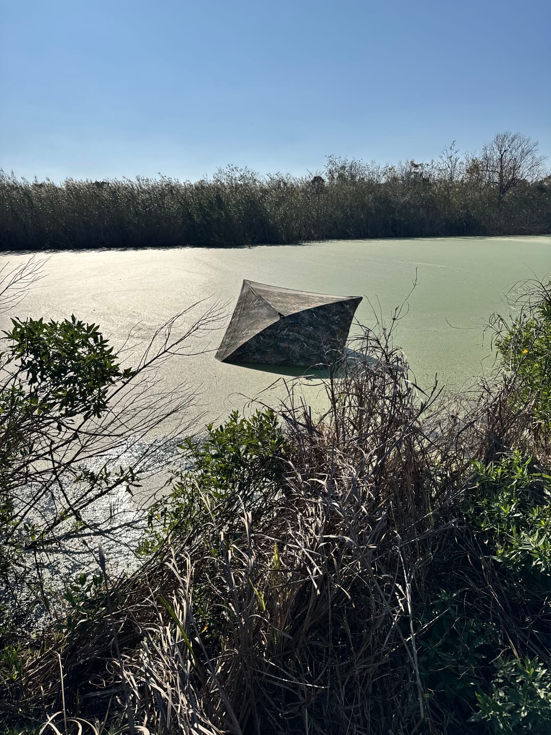 Customer photo review of VisX/VisMax 270 Degree See Through Pop Up Hunting Blind
