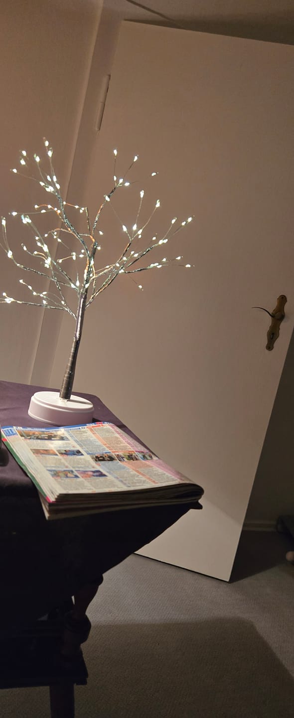 Customer photo review of Bäumlein® - 108 LED's