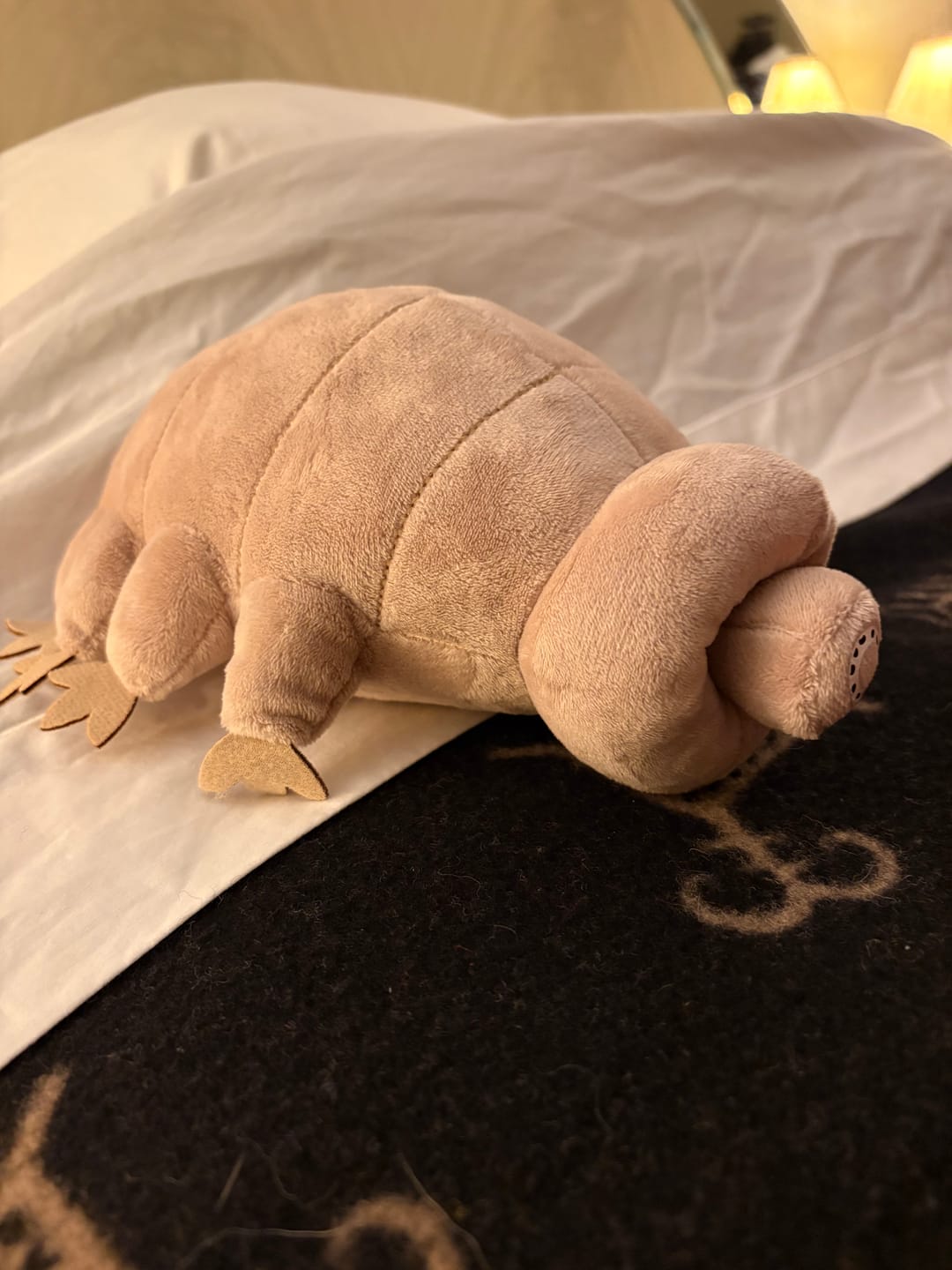 Customer photo review of Tardigrade Water Bear Soft Stuffed Plush Toy
