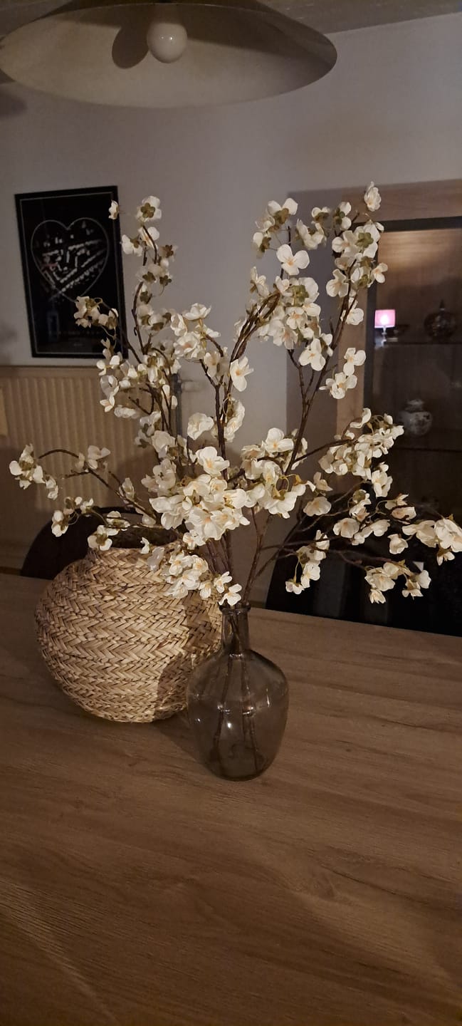 Customer photo review of Zijden Bloesem - Wit