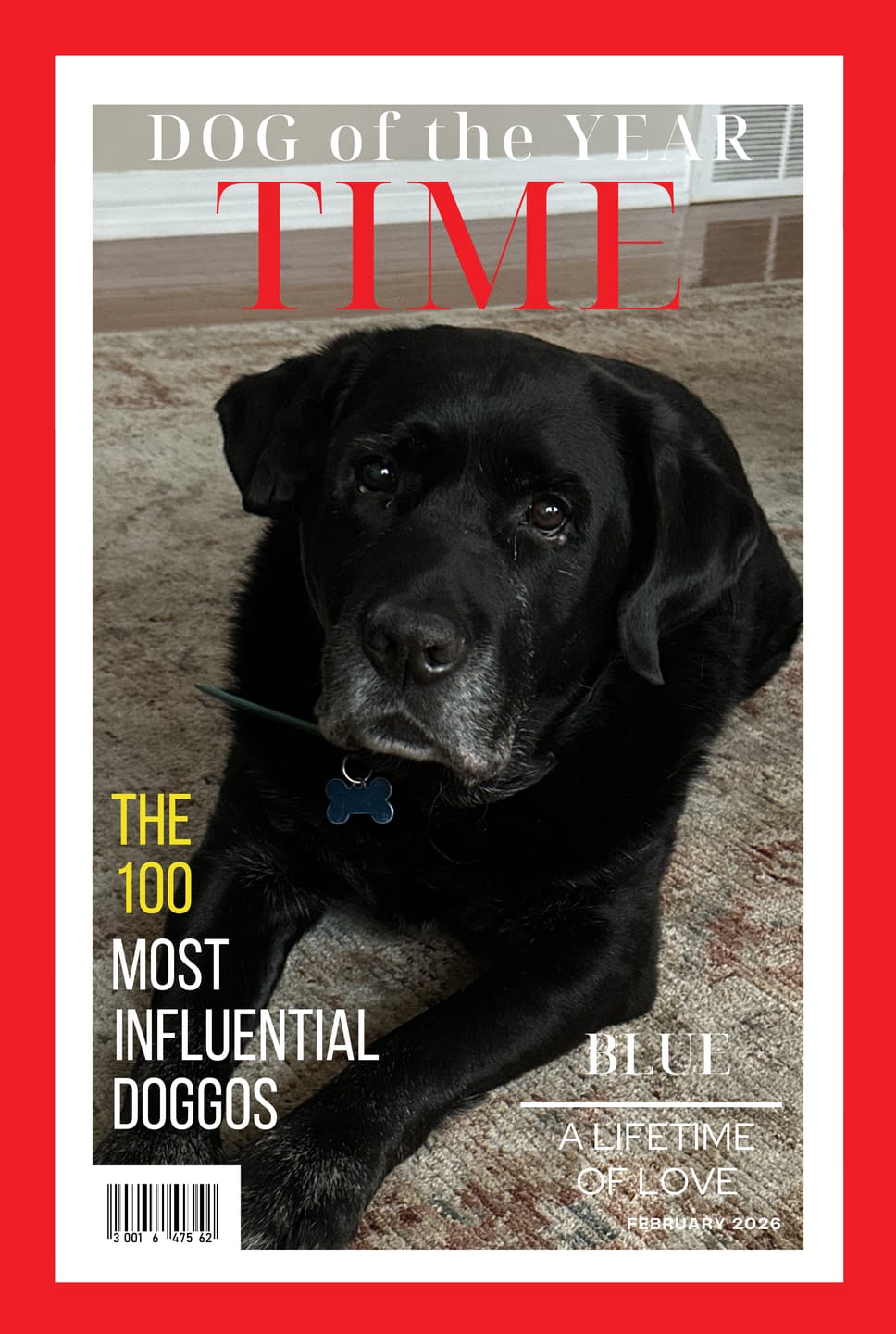 Customer photo review of Pet Portrait Magazine Cover