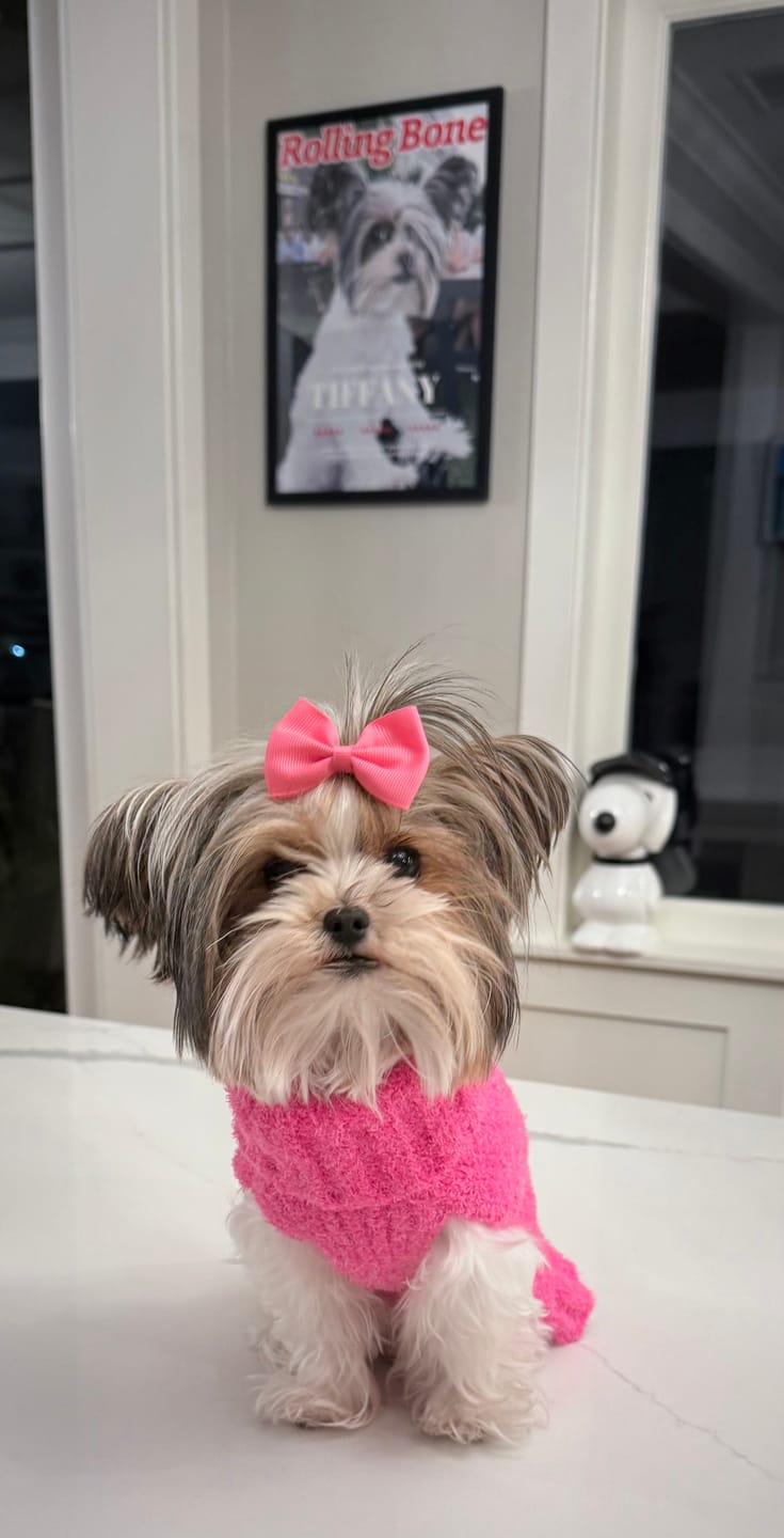 Customer photo review of Pet Portrait Magazine Cover