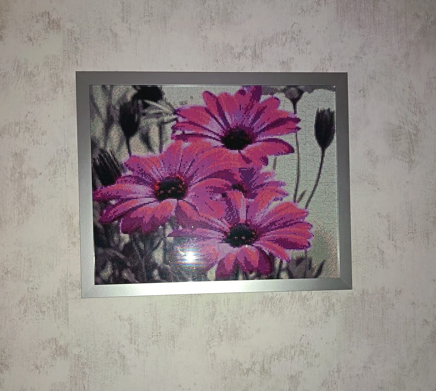 Customer photo review of Violetit kukat