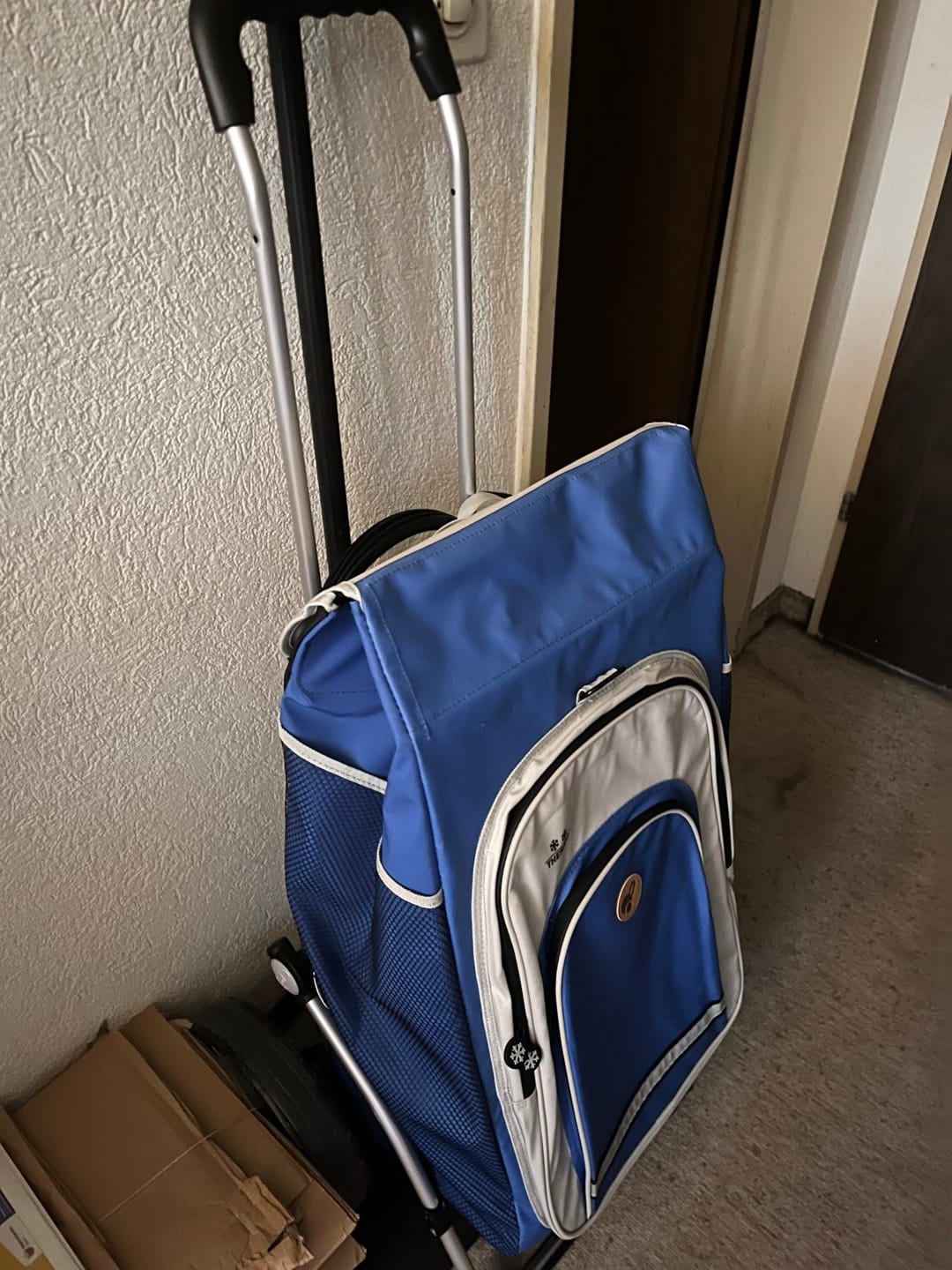 Customer photo review of Royal Shopper (Kugellagerrad 25 cm) Hydro 2.1 - blau