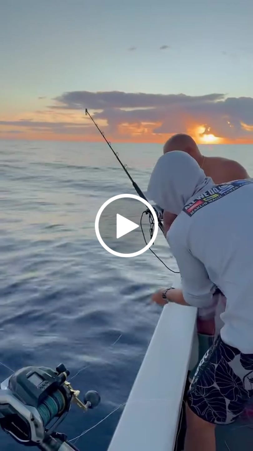 Customer video review of Blue Wave or Moss Camo 300-2000 Yard Spools