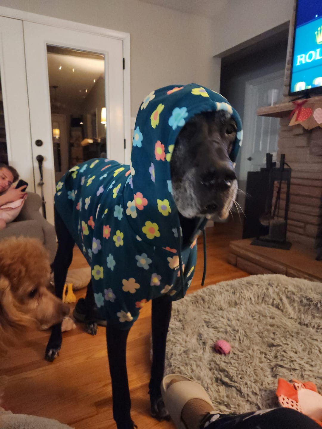 Customer photo review of Dog Hoodie Prints